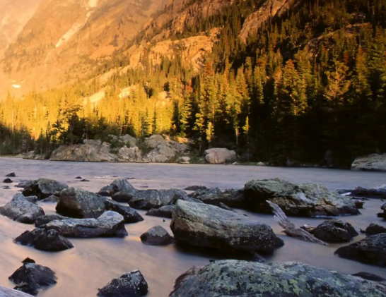 试管武汉哪家医院好